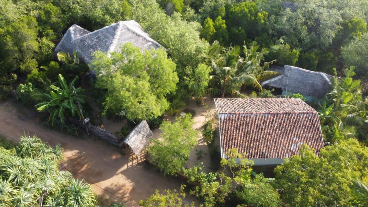 Mermaid Cabana And Tree Houses تانجالي المظهر الخارجي الصورة