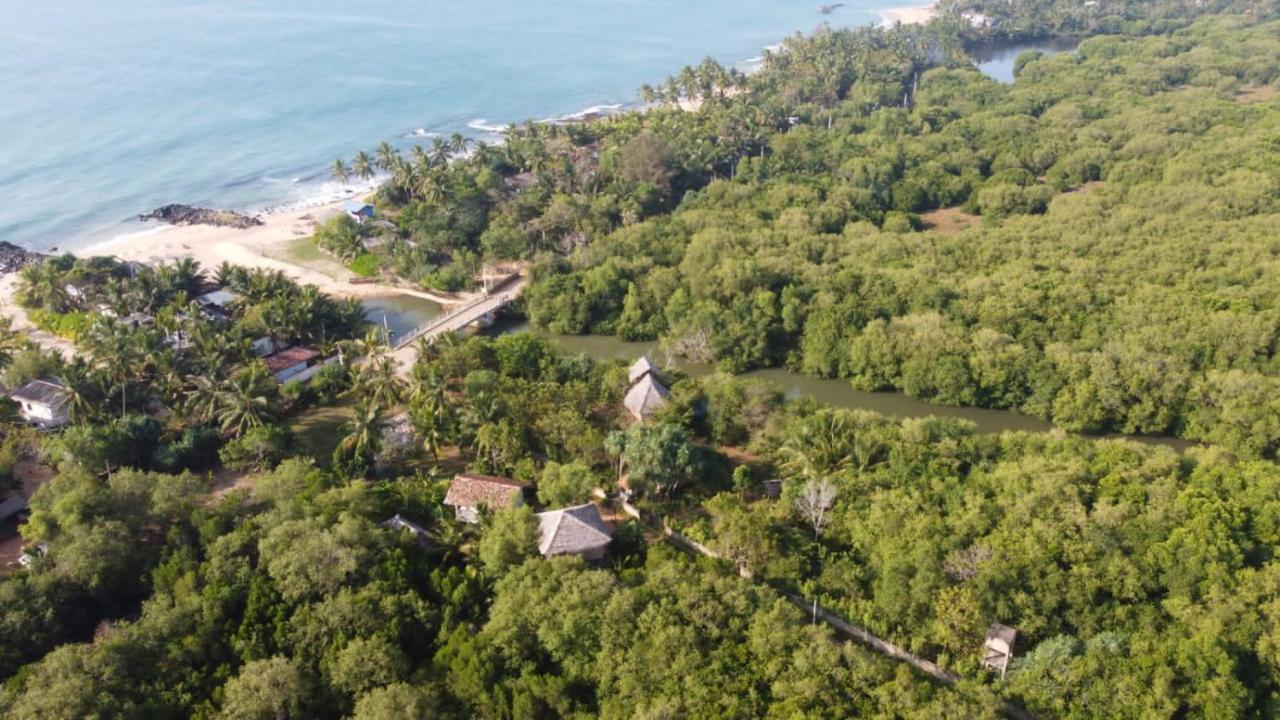 Mermaid Cabana And Tree Houses تانجالي المظهر الخارجي الصورة