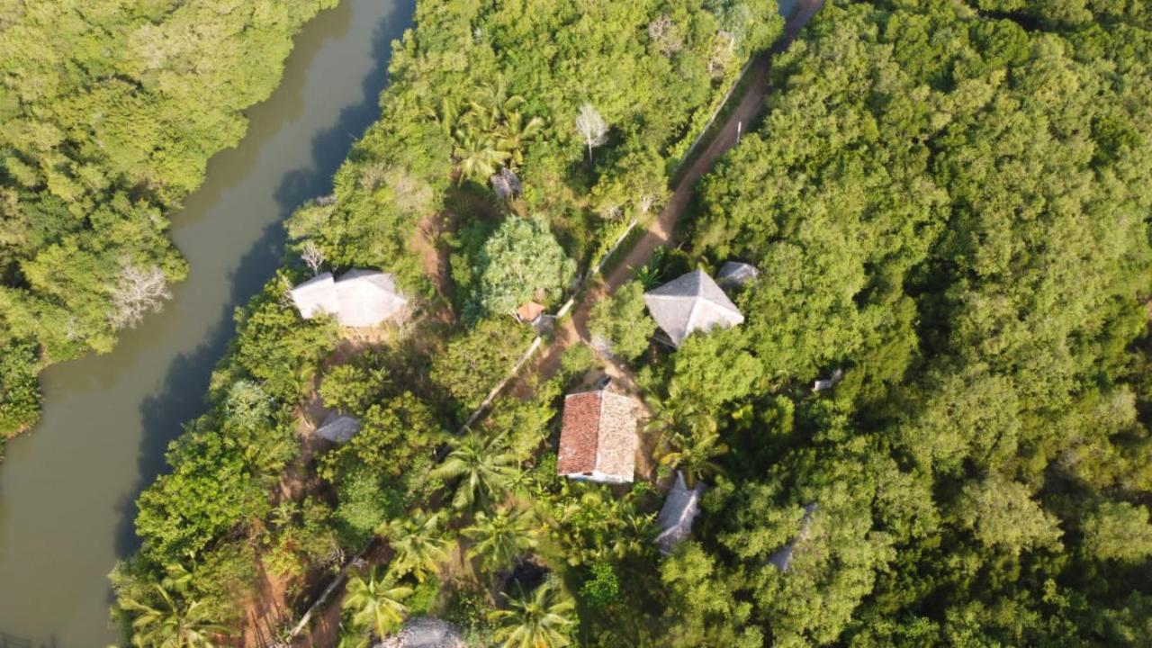 Mermaid Cabana And Tree Houses تانجالي الغرفة الصورة