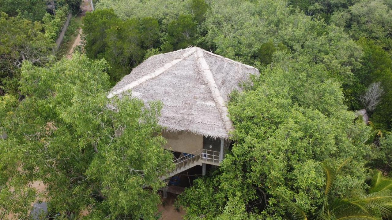 Mermaid Cabana And Tree Houses تانجالي المظهر الخارجي الصورة