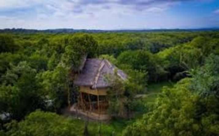 Mermaid Cabana And Tree Houses تانجالي المظهر الخارجي الصورة