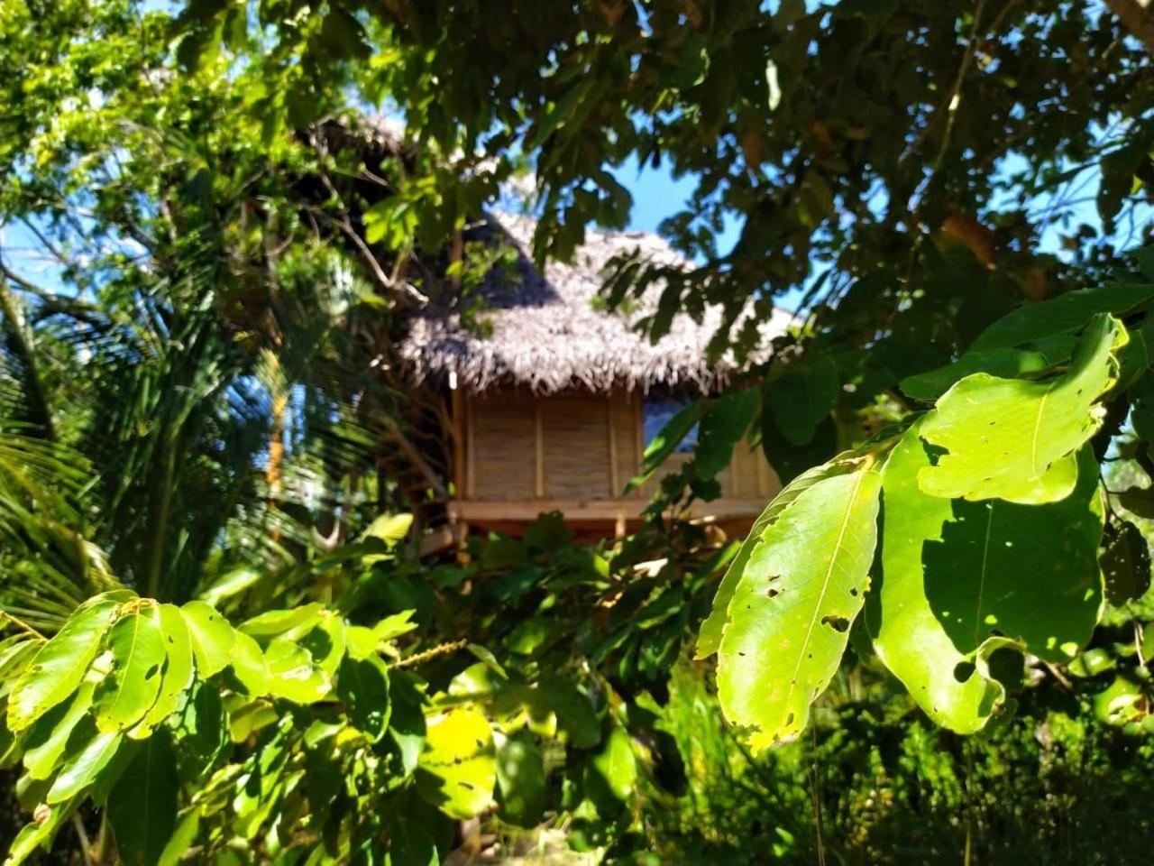 Mermaid Cabana And Tree Houses تانجالي الغرفة الصورة