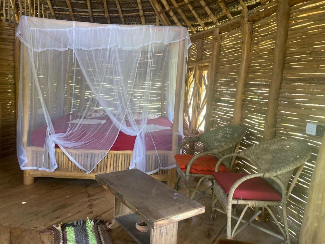 Mermaid Cabana And Tree Houses تانجالي الغرفة الصورة