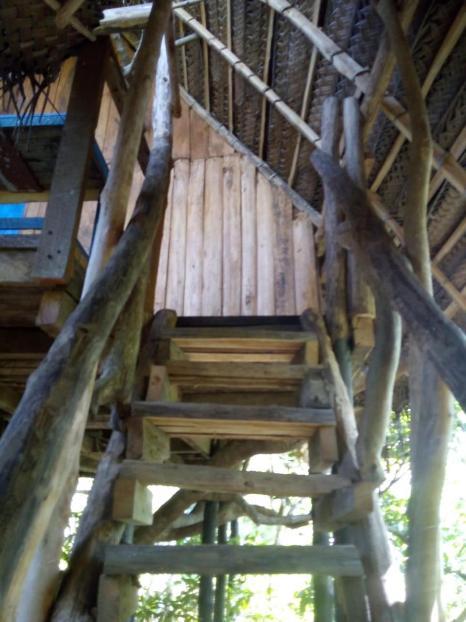 Mermaid Cabana And Tree Houses تانجالي الغرفة الصورة