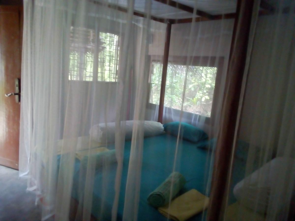 Mermaid Cabana And Tree Houses تانجالي المظهر الخارجي الصورة