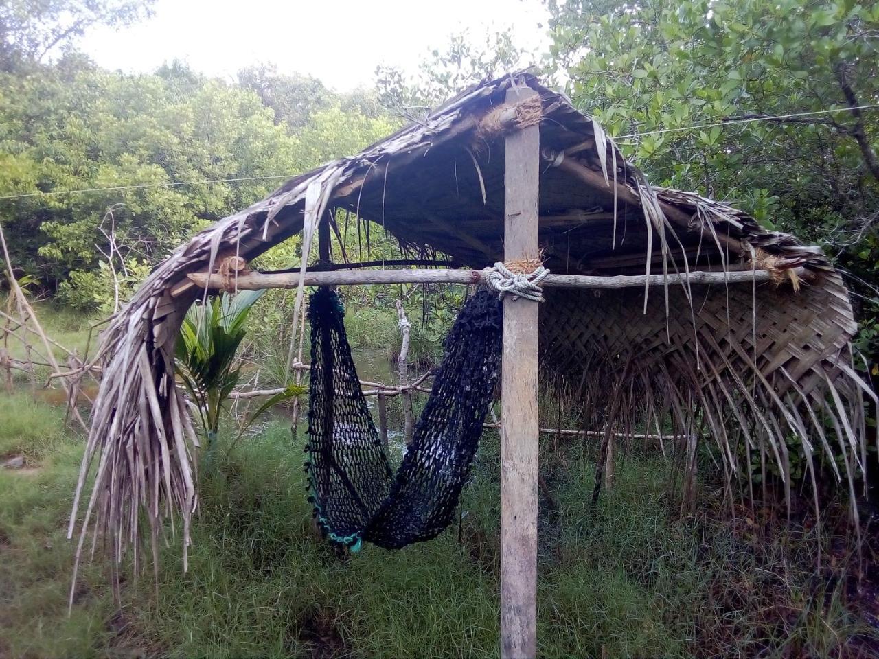 Mermaid Cabana And Tree Houses تانجالي المظهر الخارجي الصورة