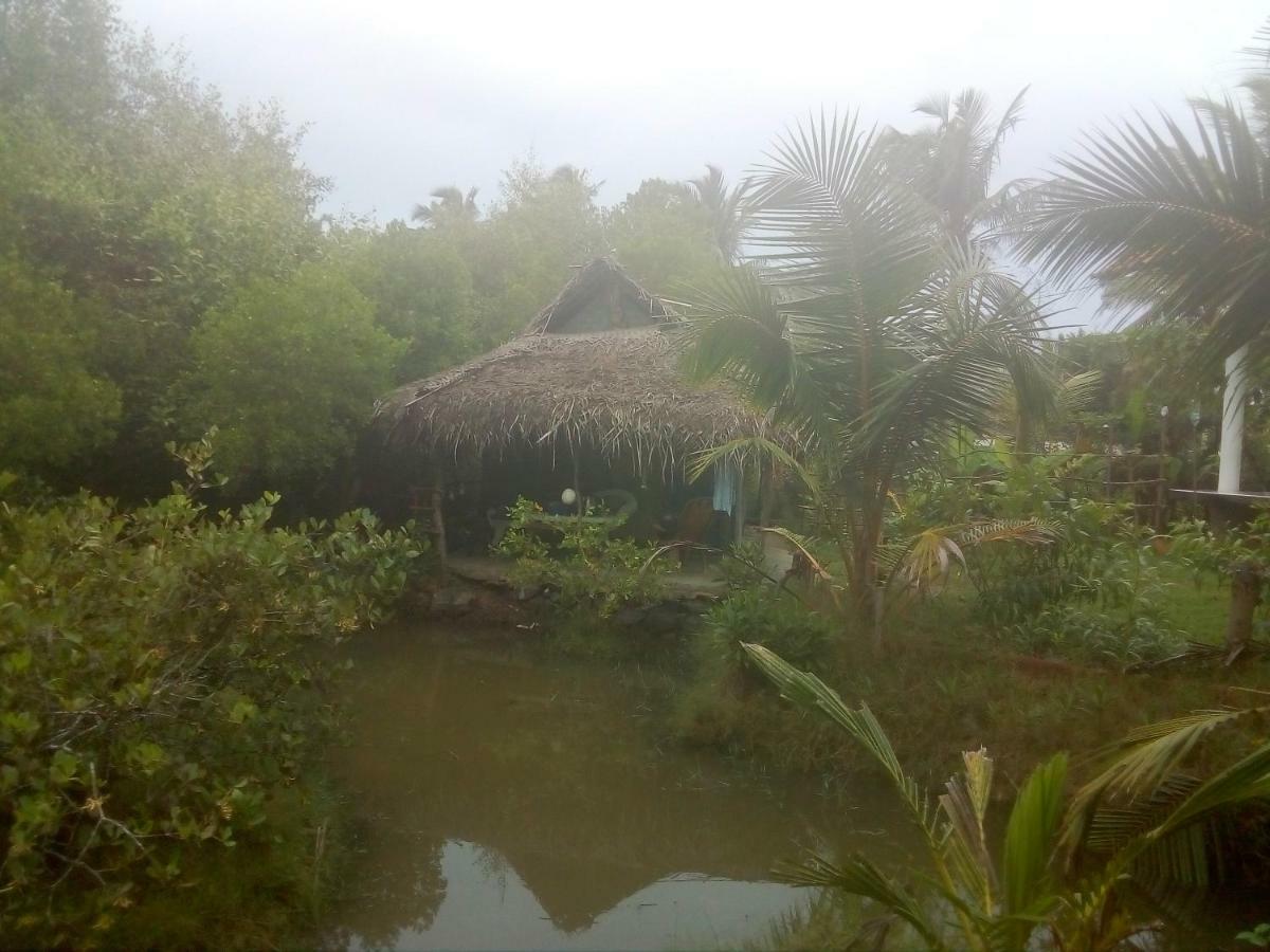 Mermaid Cabana And Tree Houses تانجالي المظهر الخارجي الصورة