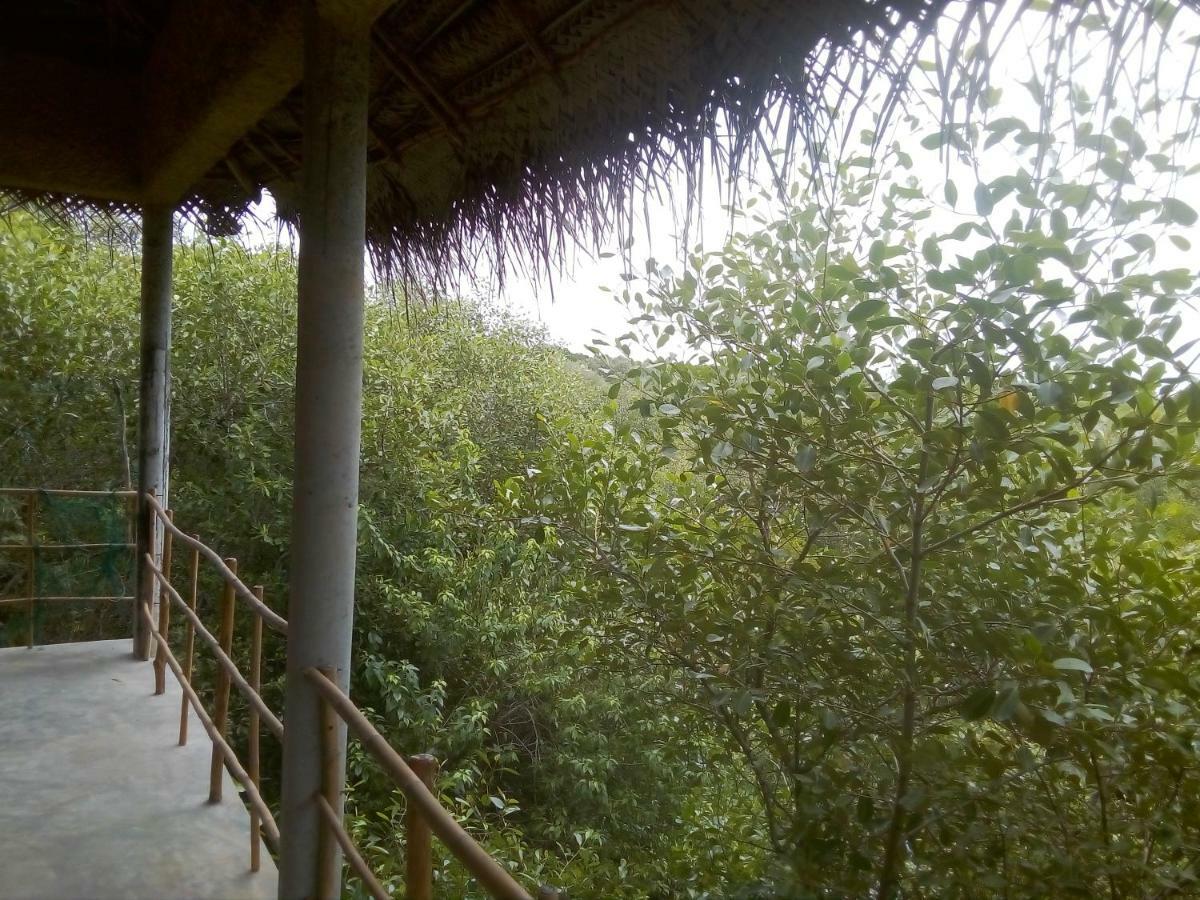 Mermaid Cabana And Tree Houses تانجالي المظهر الخارجي الصورة