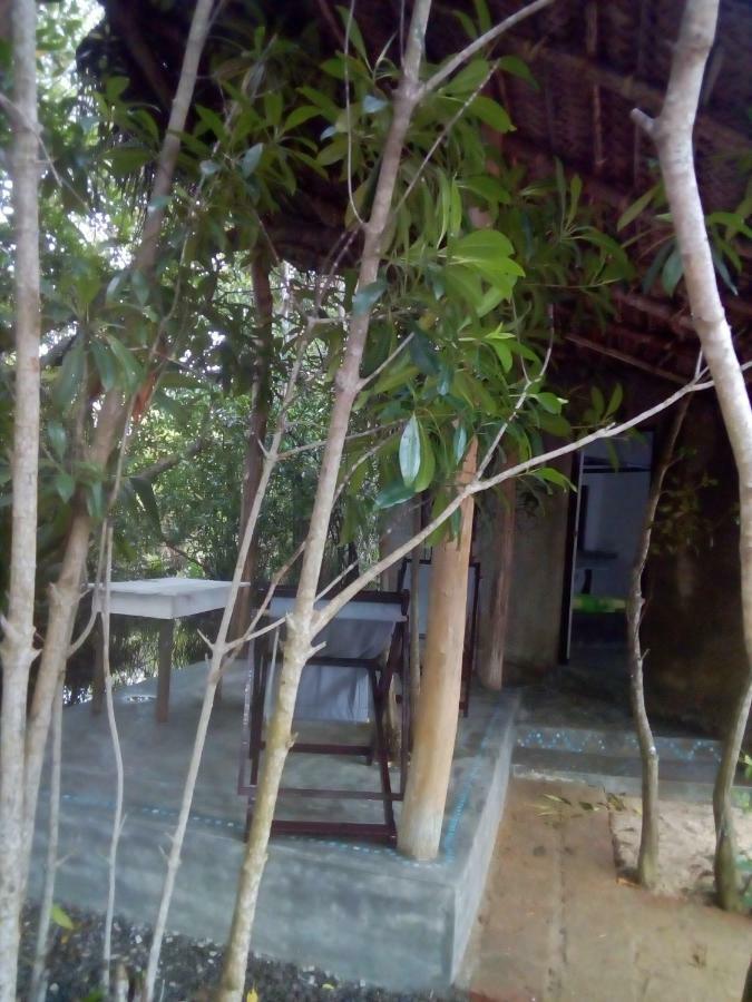 Mermaid Cabana And Tree Houses تانجالي المظهر الخارجي الصورة