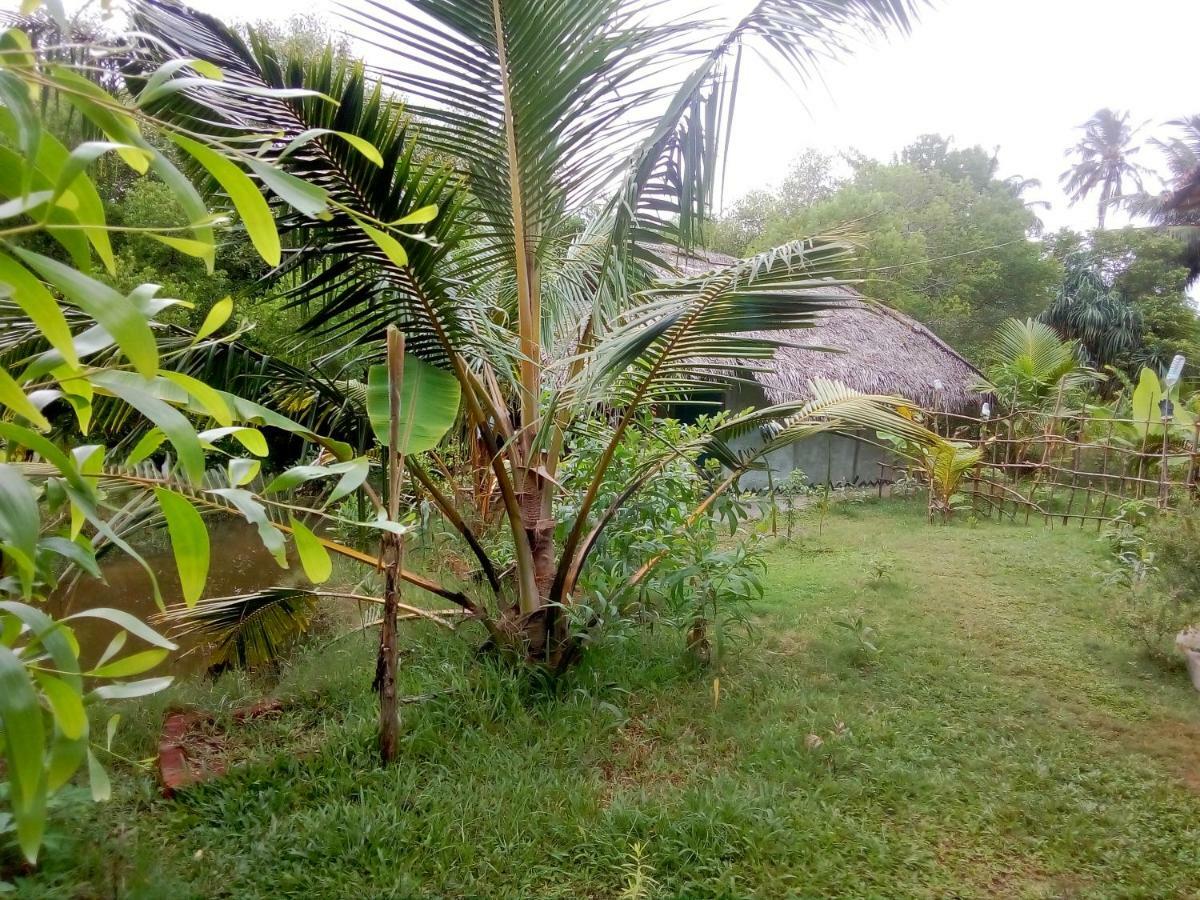 Mermaid Cabana And Tree Houses تانجالي المظهر الخارجي الصورة