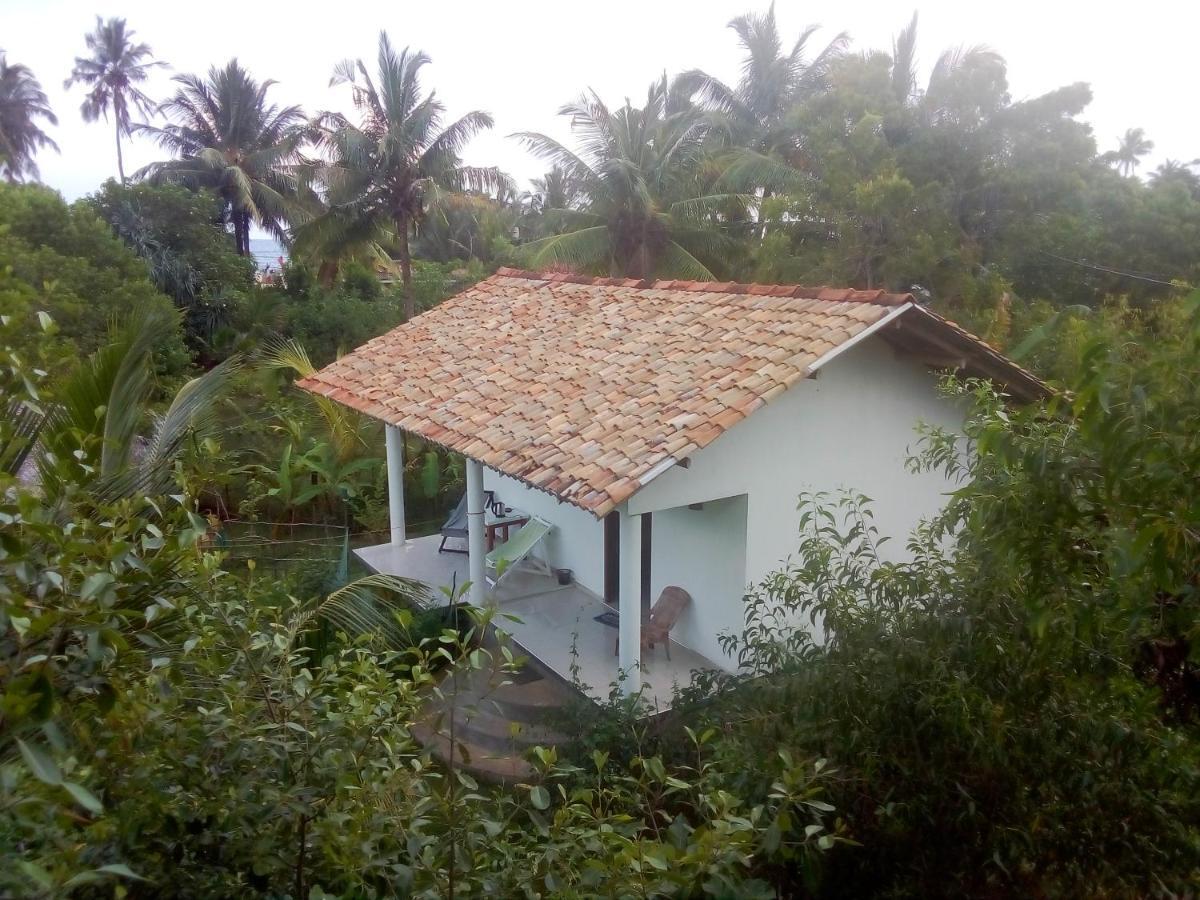 Mermaid Cabana And Tree Houses تانجالي المظهر الخارجي الصورة