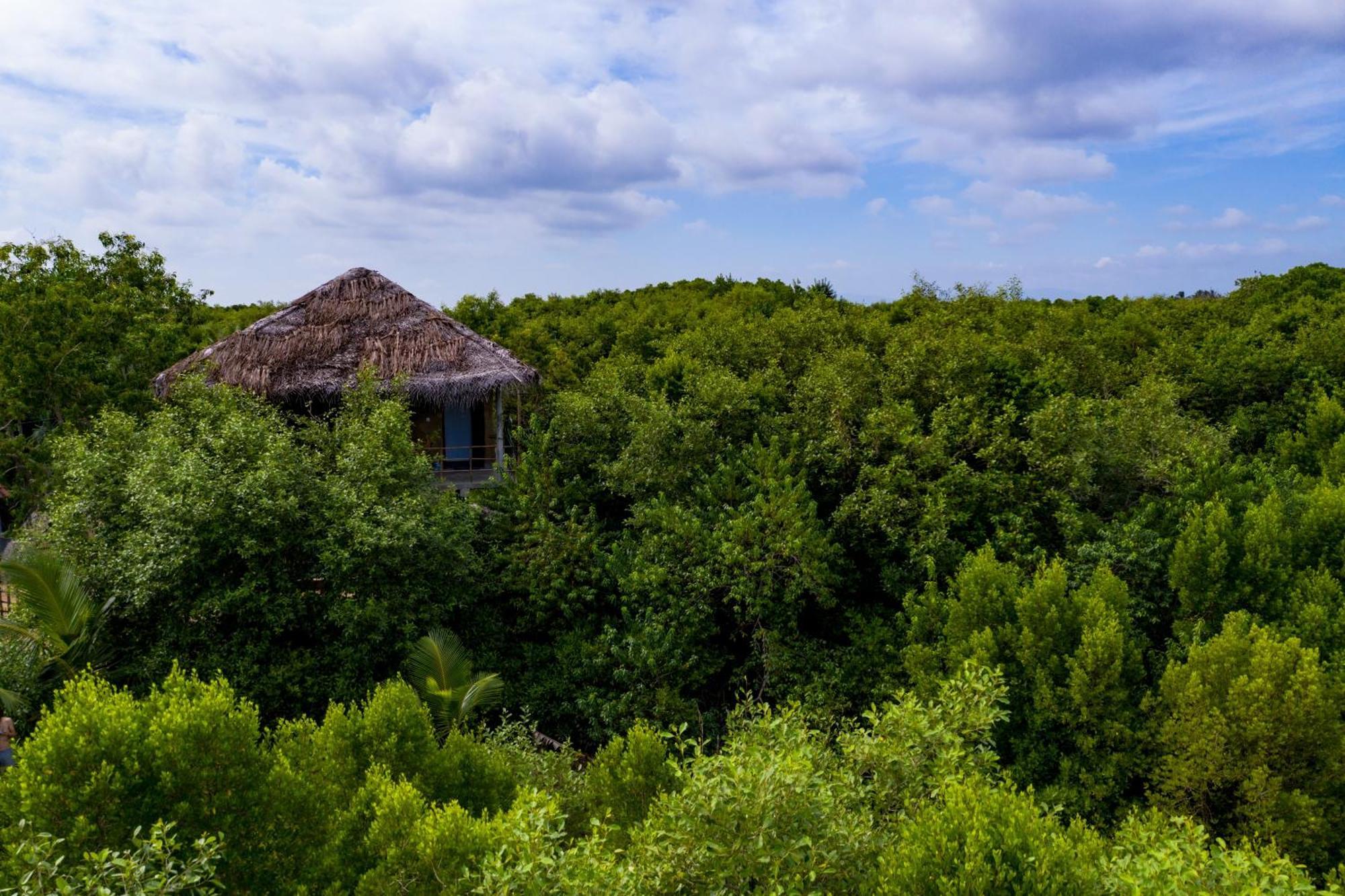 Mermaid Cabana And Tree Houses تانجالي المظهر الخارجي الصورة