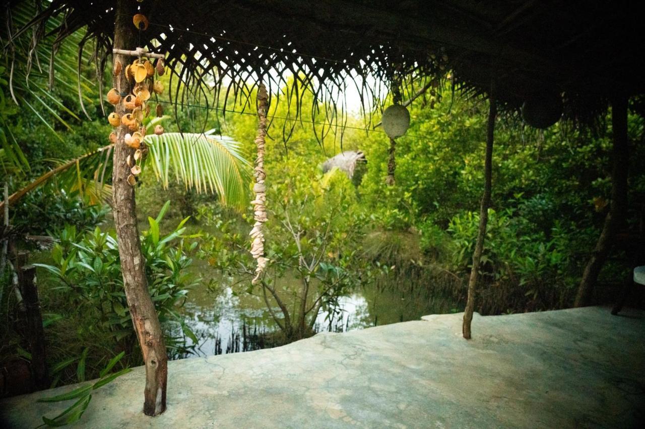 Mermaid Cabana And Tree Houses تانجالي المظهر الخارجي الصورة