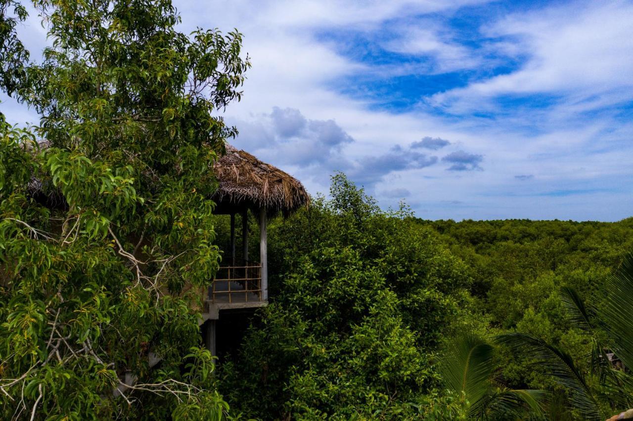 Mermaid Cabana And Tree Houses تانجالي المظهر الخارجي الصورة