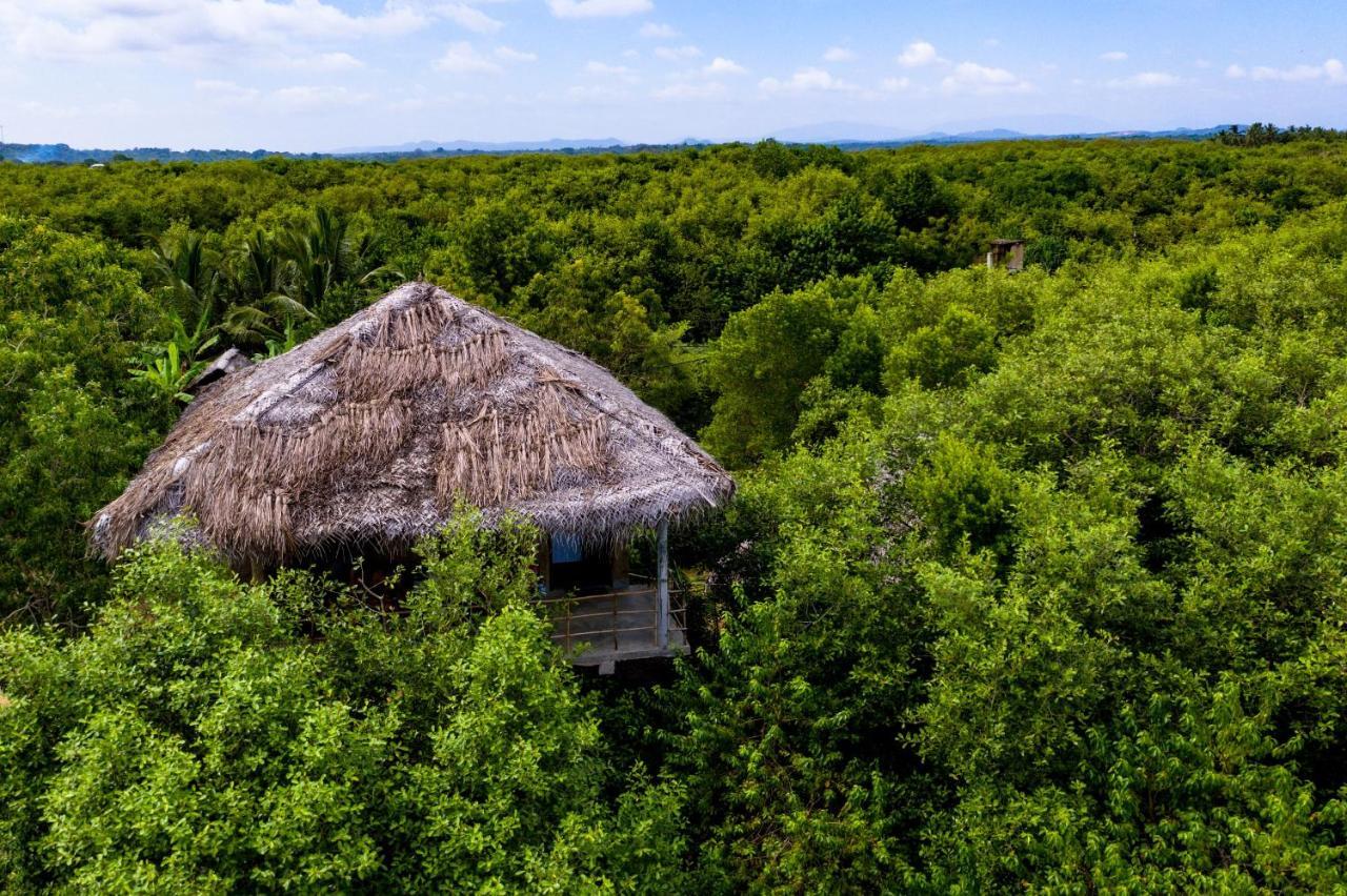 Mermaid Cabana And Tree Houses تانجالي المظهر الخارجي الصورة