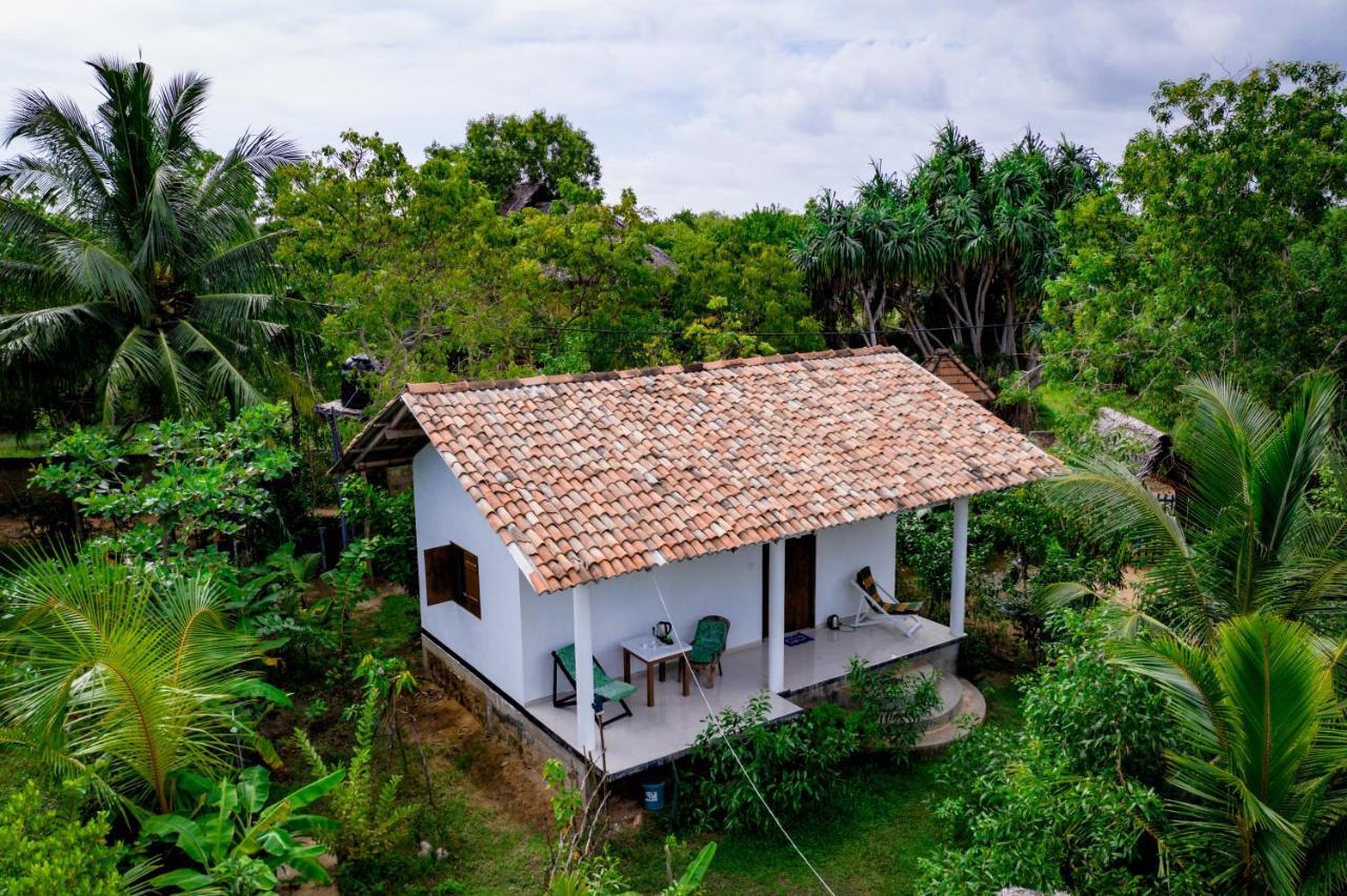 Mermaid Cabana And Tree Houses تانجالي المظهر الخارجي الصورة
