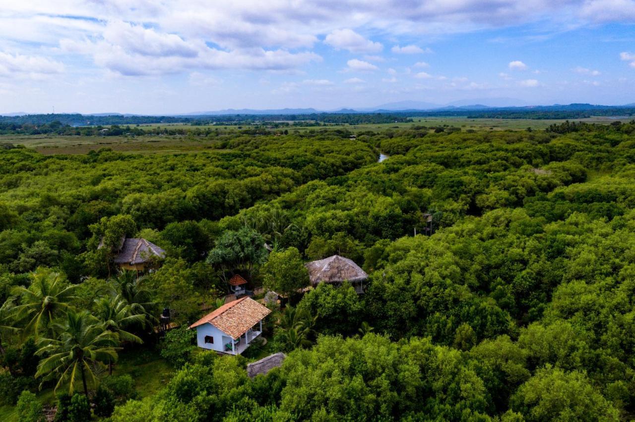 Mermaid Cabana And Tree Houses تانجالي المظهر الخارجي الصورة