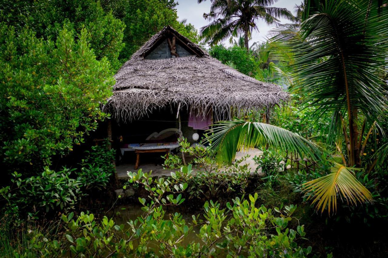 Mermaid Cabana And Tree Houses تانجالي المظهر الخارجي الصورة
