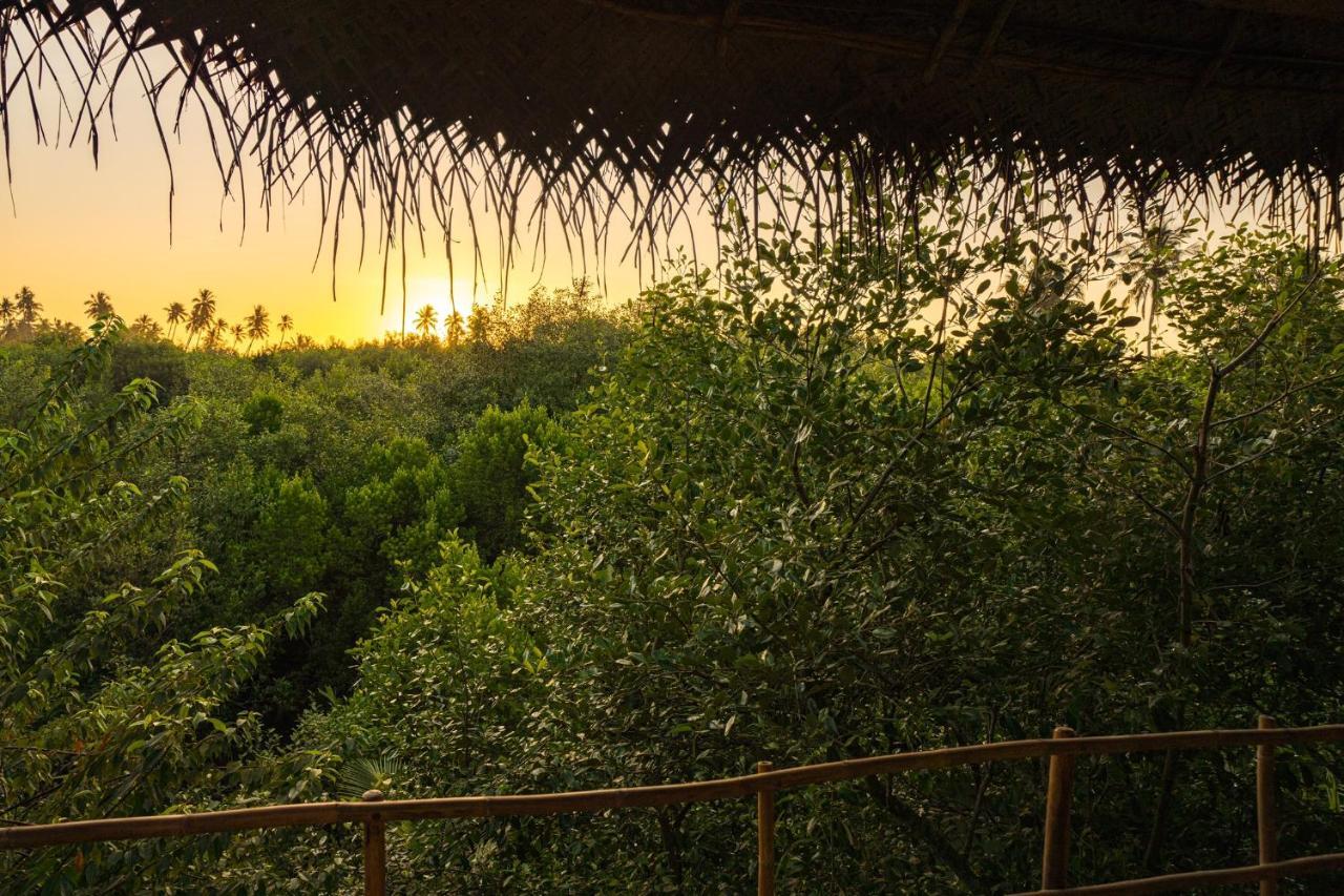 Mermaid Cabana And Tree Houses تانجالي المظهر الخارجي الصورة
