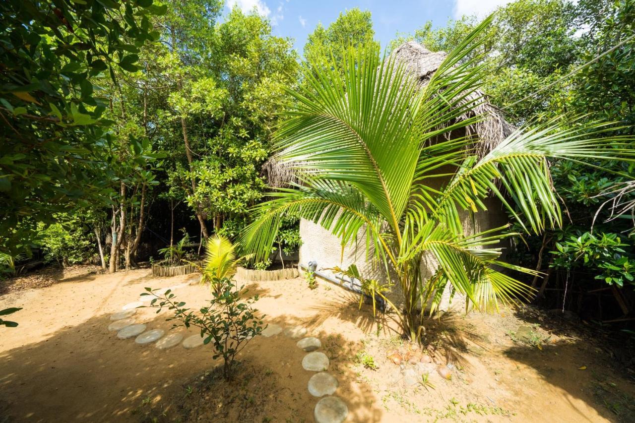 Mermaid Cabana And Tree Houses تانجالي المظهر الخارجي الصورة